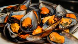 La sorprendente salsa que propone Karlos Arguiñano para los mejillones estas navidades