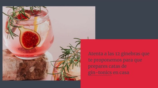El gin-tonic perfecto. A cada ginebra, su tónica