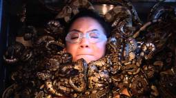 fear-factor