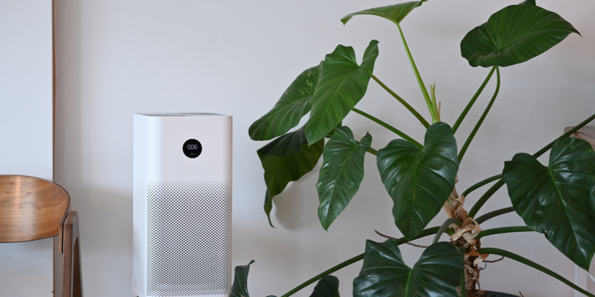 Purificador de aire Amazon menos de 40€