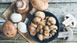 Champiñones