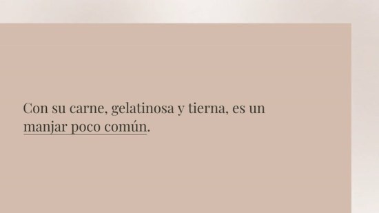 Raya A La Vinagreta
