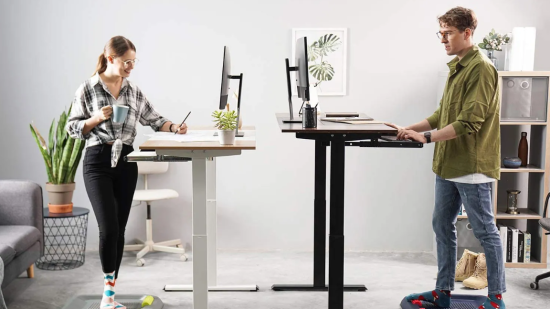 Sillas y escritorios elevables flexispot