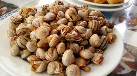 snails-3397918_1280
