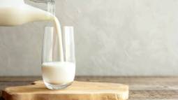 ¿Hay que tomar leche cruda?