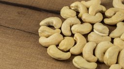 anacardium-3523449_1280