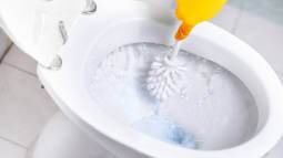 istockphoto-1144140748-612x612
