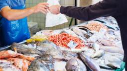 pescaderia