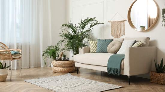 iStock-1312439845
