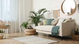 iStock-1312439845