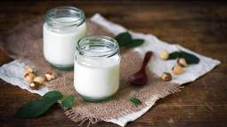 yogur