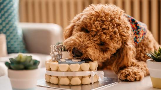 iStock-1327518639