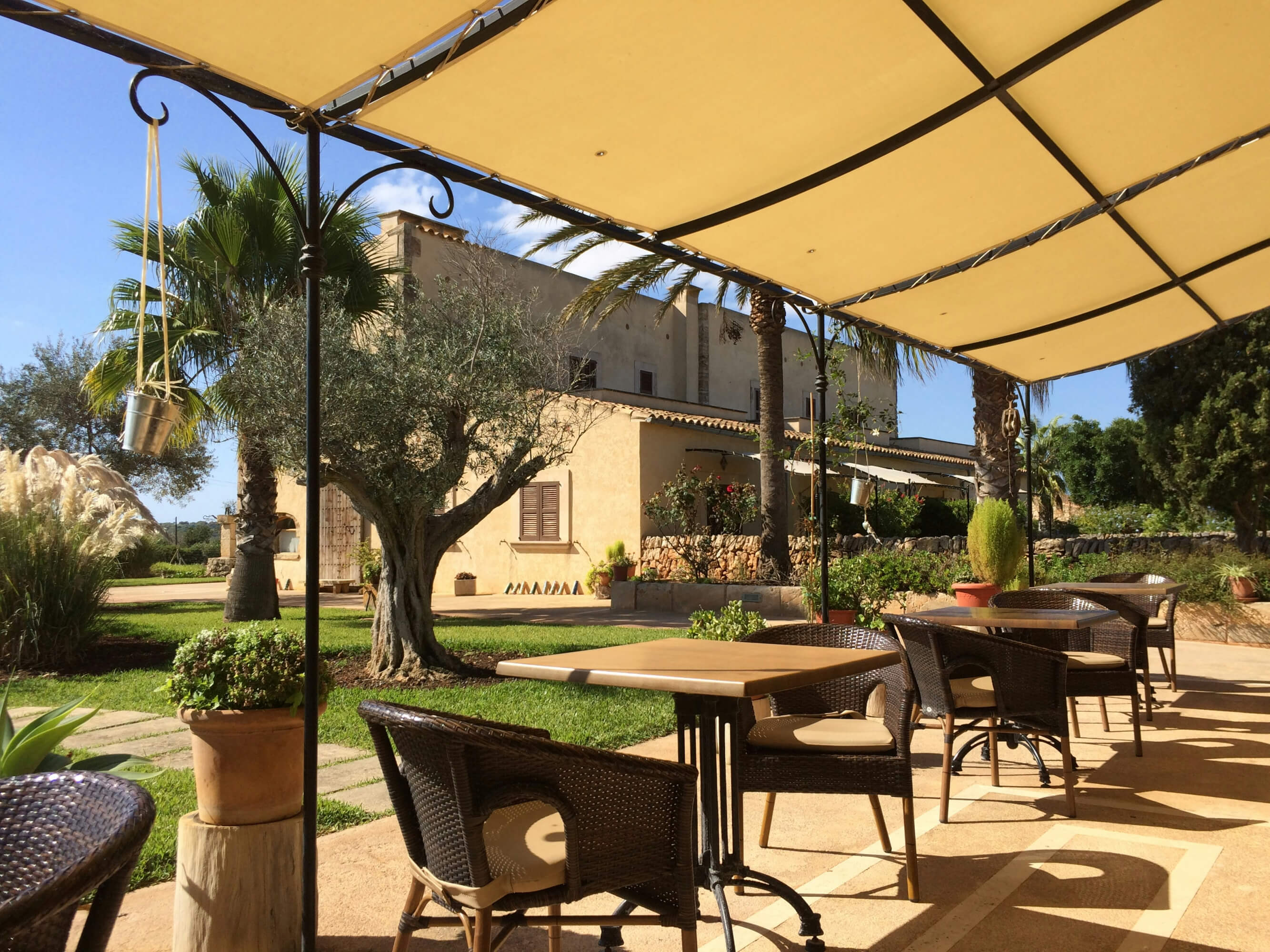 Ikea baja el precio de su toldo pérgola más vendido para la terraza o el jardín: resistente, fácil de quitar y ahora rebajado 40 euros