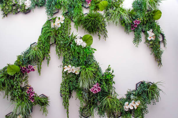 plantas trepadoras