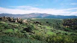 roble