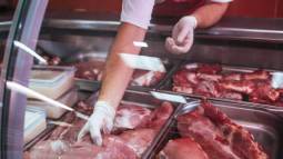 carne 2