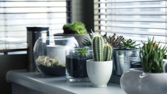 Plantas artificiales realistas