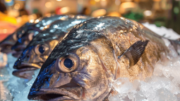 Corvina en la pescadería