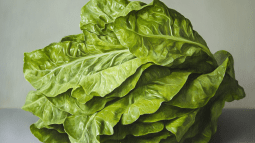 Un cogollo de lechuga