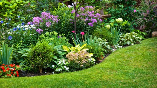 Mejores Plantas para el jardín resistentes al sol