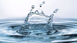zinetmedia_agua_embotellada_--ar_43_--v_6.1_3f06d0f2-979a-413f-95d2-a5eeb37362a3_1