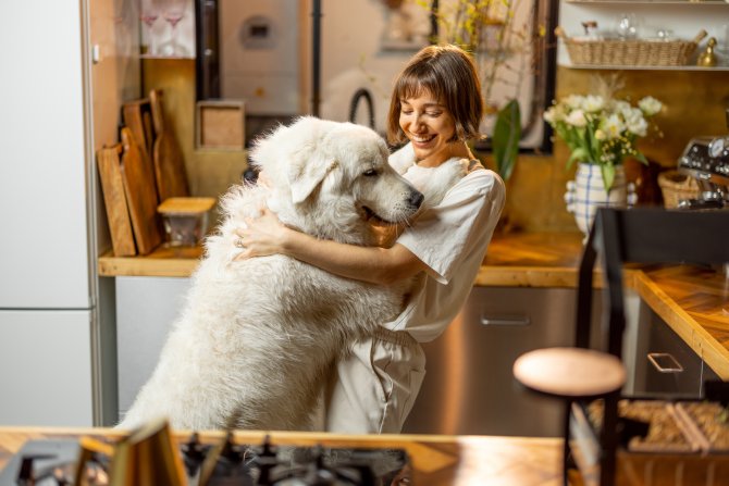 Las mejores razas de perros grandes