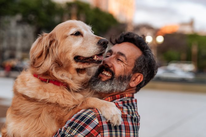 Las mejores razas de perros grandes: características, cuidados y consejos para disfrutar de su compañía en casa