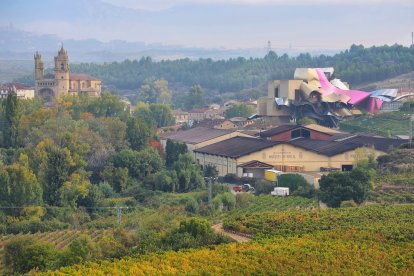 Conoce la Rioja Alavesa, un enclave otoñal donde vivir de cerca la vendimia y disfrutar de los mejores vinos