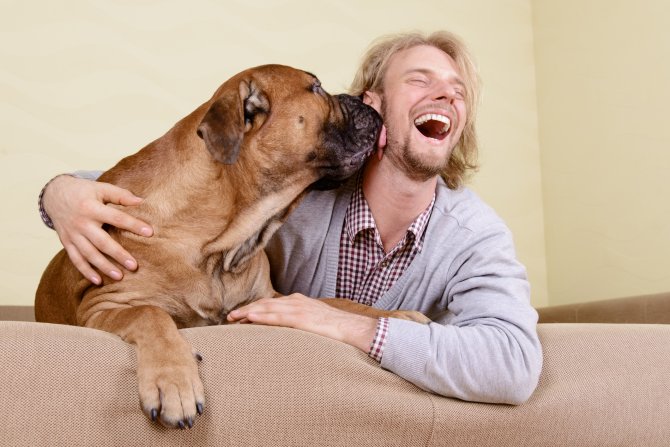 Las mejores razas de perros grandes