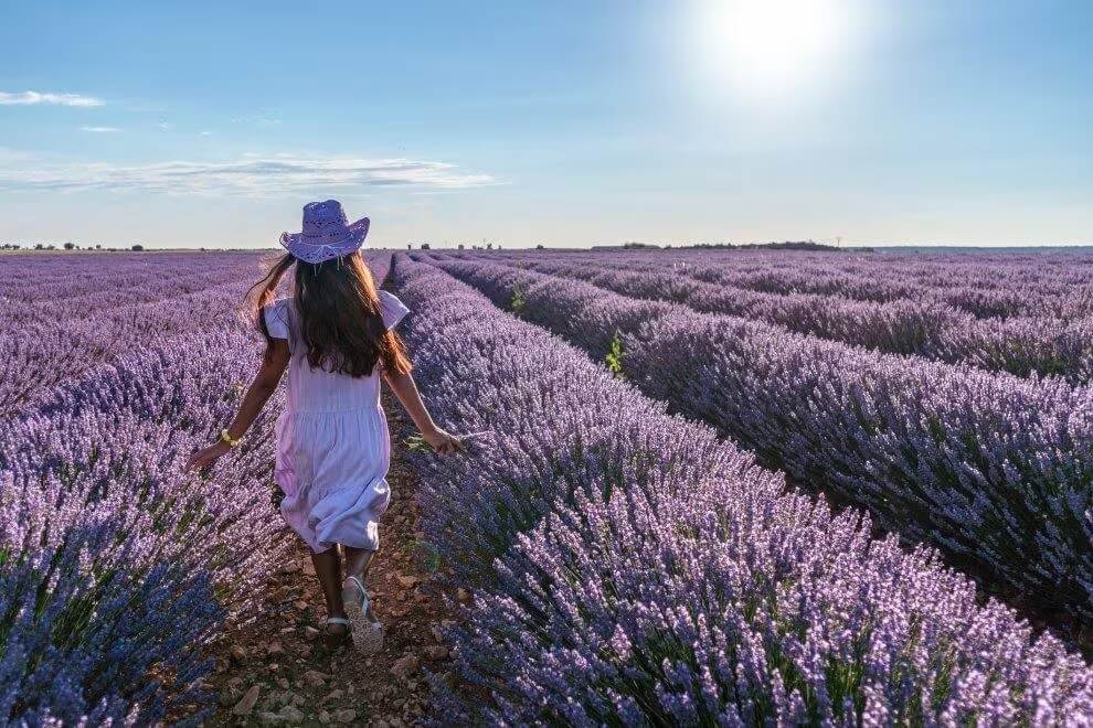 iStock - Valentyn Volkov