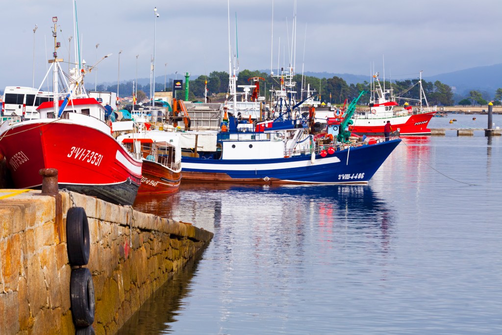 barco-pesquero-gamba-roja