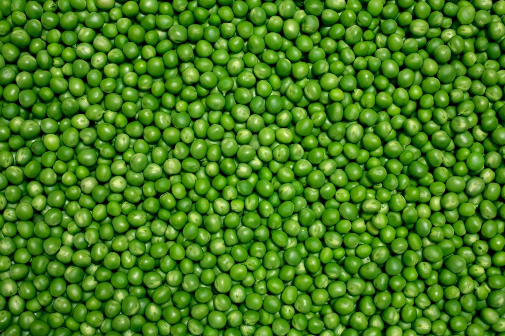 guisantes-alimento-saludable-universidad-de-harvard