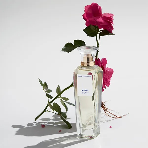 perfume-Letizia-Ortiz