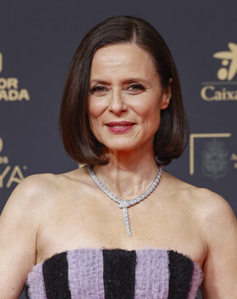 De Aitana Sánchez-Gijón a Maribel Verdú: los peinados de la alfombra roja de los Premios Goya 2025 que serán tendencia entre las mujeres +50 este año