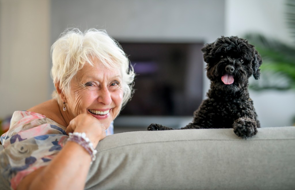 mascotas-senior-adaptar-vivienda