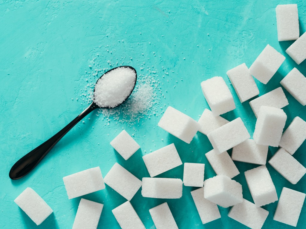 nutrición