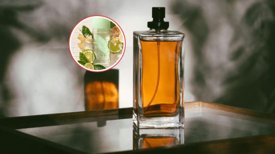 perfumes-low-cost-mas-vendidos