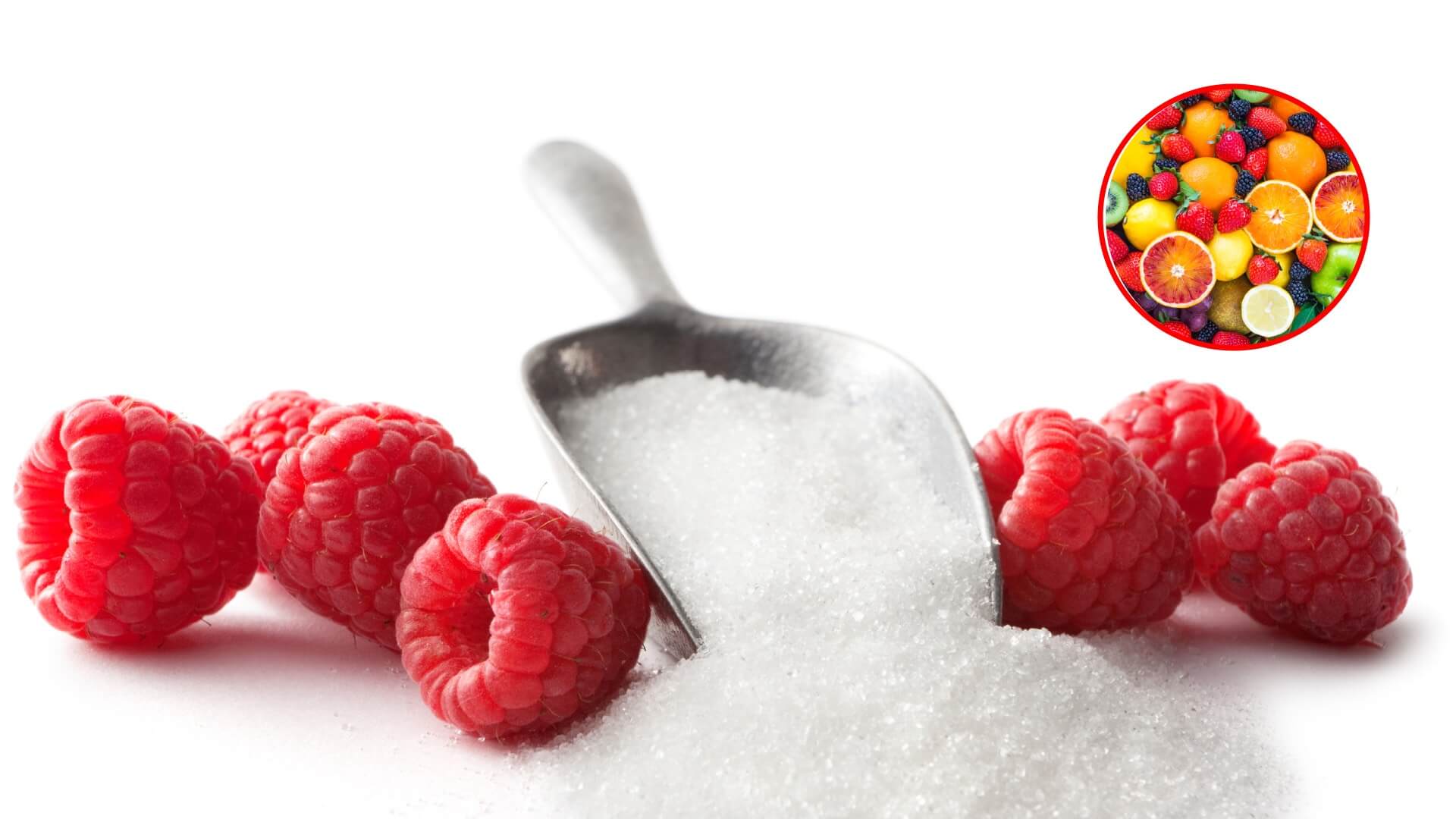 nutrición