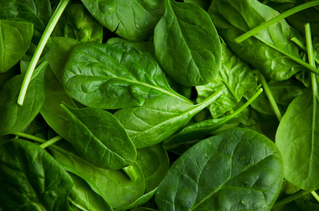 antinutrientes-legumbres-verduras-huevo-te-experto-nutricion