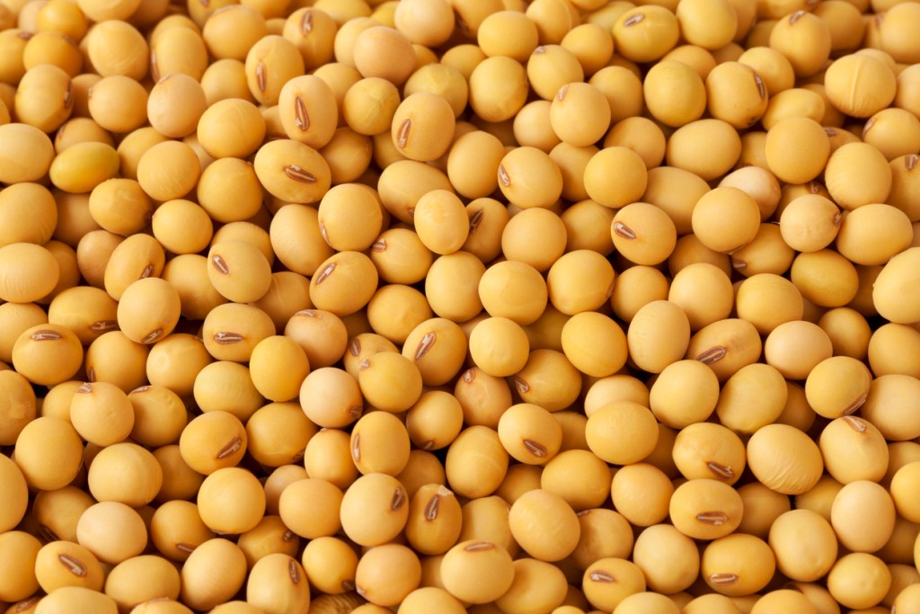 antinutrientes-legumbres-verduras-huevo-te-experto-nutricion