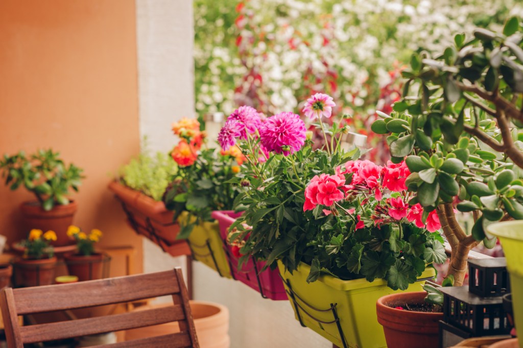 Flores coloridas en el balcón - Imagen: iStock