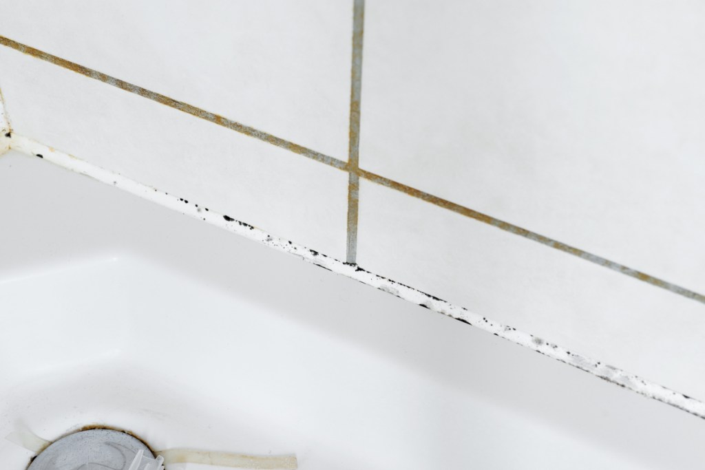 Juntas del baño oscurecidas y sucias - Imagen: iStock