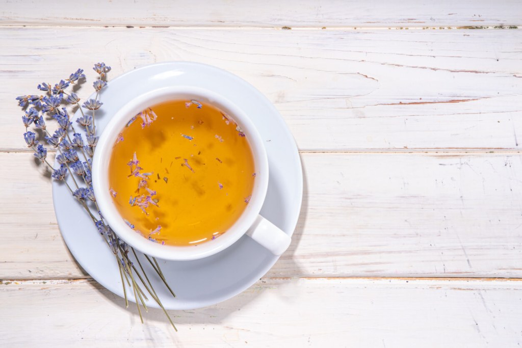 Conoce el poder curativo de la naturaleza a través de estas infusiones revitalizantes que puedes hacer fácilmente en casa
