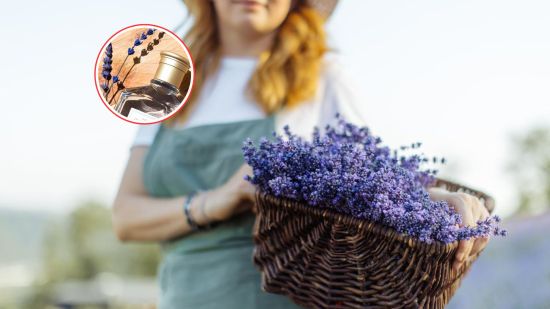 perfume-low.-cost-fresco-delicado-relajante