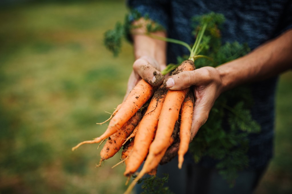 vegetales-provitamina-a