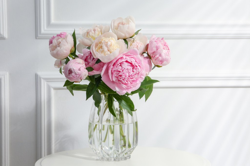 Feng Shui: flores rosas en el recibidor - Imagen: iStock