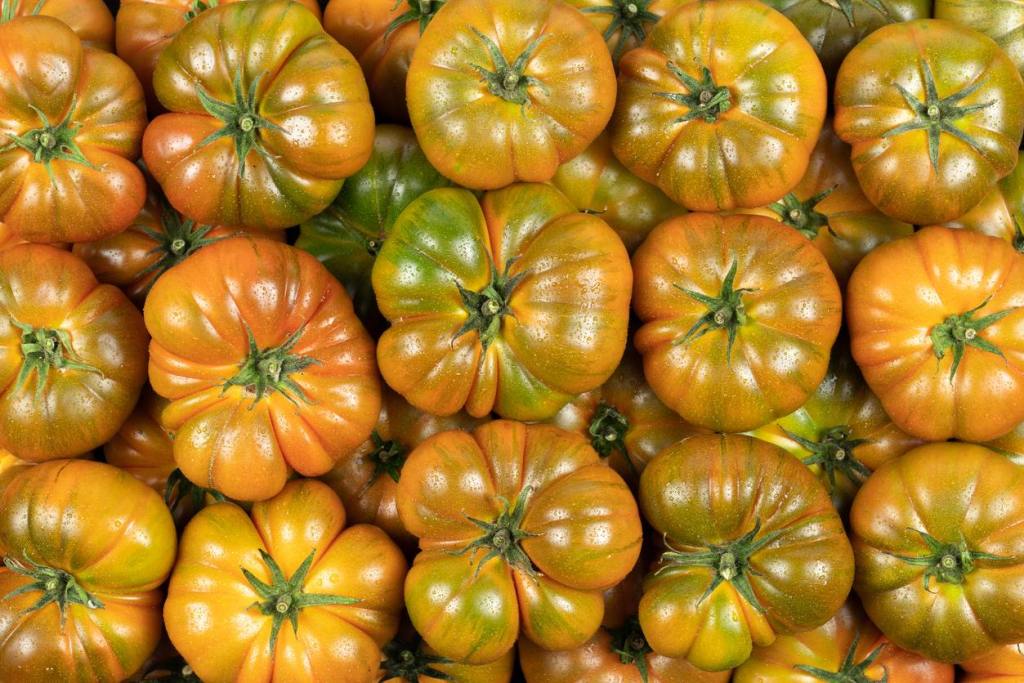 tomate-dieta-reina-letizia