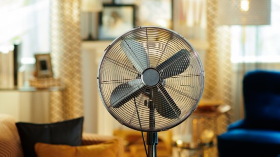 limpieza-ventilador-orden-verano