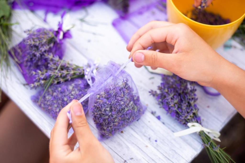 isabel-preysler-perfume-lavanda