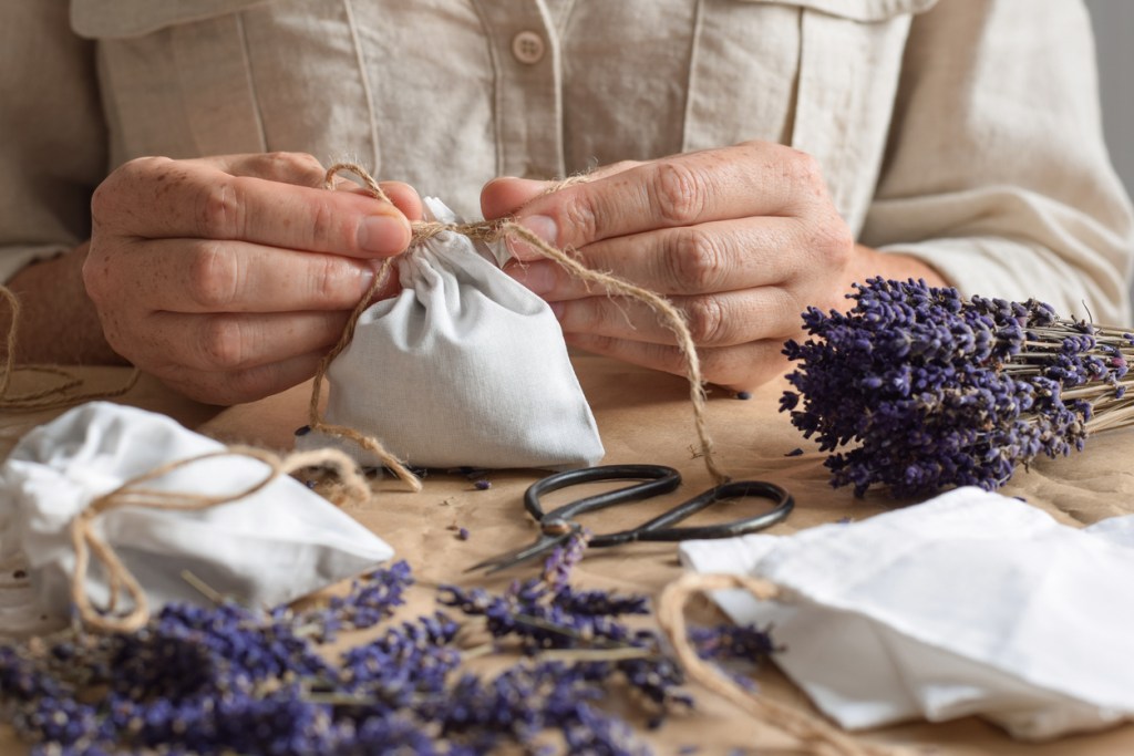 isabel-preysler-perfume-lavanda